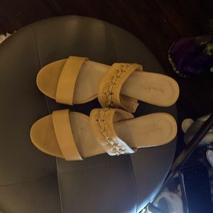 Coach and Four slide on Wedge…Mustard Color 4 inch Hill size 8